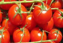 想要身體排毒，就常吃4種水果