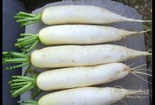 實用的買菜技巧，天天吃上新鮮菜