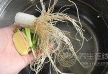 廢料熬湯喝了感冒全跑光