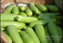 經(jīng)常吃西葫蘆，有這些好處