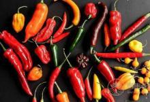 經常食用辣椒有何好處什么人不建議吃辣椒