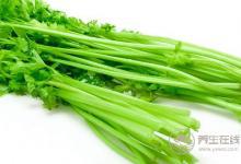 口臭是身體內(nèi)部疾病四種食物去口臭