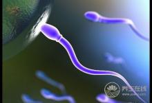 如何利用這些知識提高精子的質與量