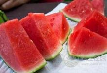 敗火水果有哪些？