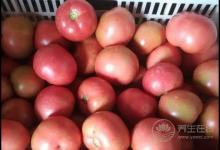 這幾種果蔬，能養肝，可常吃，別忽視了！