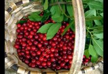 常吃7種食物，抗皺美容更顯年輕