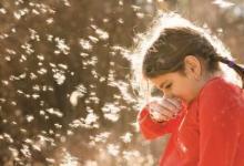 秋天養生適合多喝湯