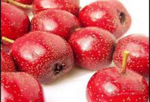 山楂作用大，對(duì)身體有這些好處，很多人卻不懂