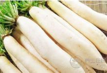 白蘿卜和西紅柿能一起吃嗎？白蘿卜和什么食物一起吃好？