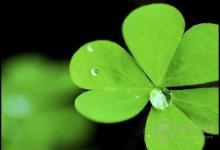 末伏養肝，這幾點需要注意