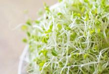 醫生提醒：高尿酸者，這5種食物再好吃都不能碰