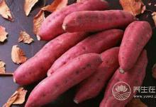 抗癌第一菜是它！人人都見過，但要這么吃才有效