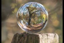 6月易上火？這些食療方能幫你清熱去火