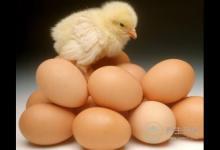 長命百歲真的好？未必！