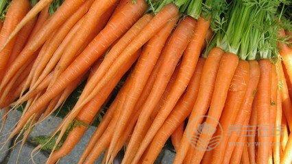 日常吃什么最養(yǎng)胃？多吃這3種食物，把胃調(diào)理好