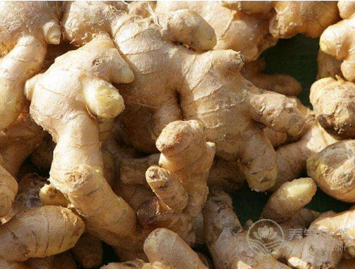 無論男女，睡前偷偷拿生姜做這事，身體悄悄出現3大驚喜！