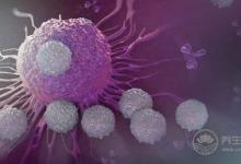 甜食是腫瘤的養料，癌細胞瘋長，癌癥很快就晚期了！