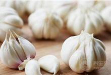 免疫力低下？多吃這4種食物，有助于提高免疫力