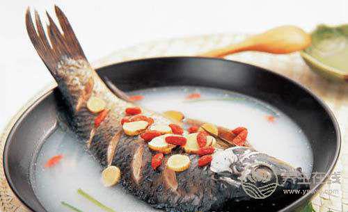 鯉魚的做法大全 鯉魚補血湯的補鈣功效
