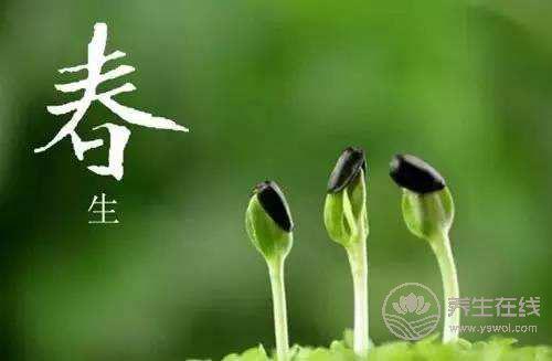 早春養(yǎng)生幾步走！讓你輕輕松松過(guò)春天