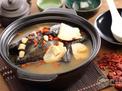 滋補烏骨雞的養生功效