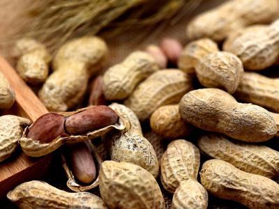 花生應(yīng)該每天吃多少粒對(duì)身體比較合適