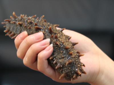 正常人一天吃多少量的海參比較合適