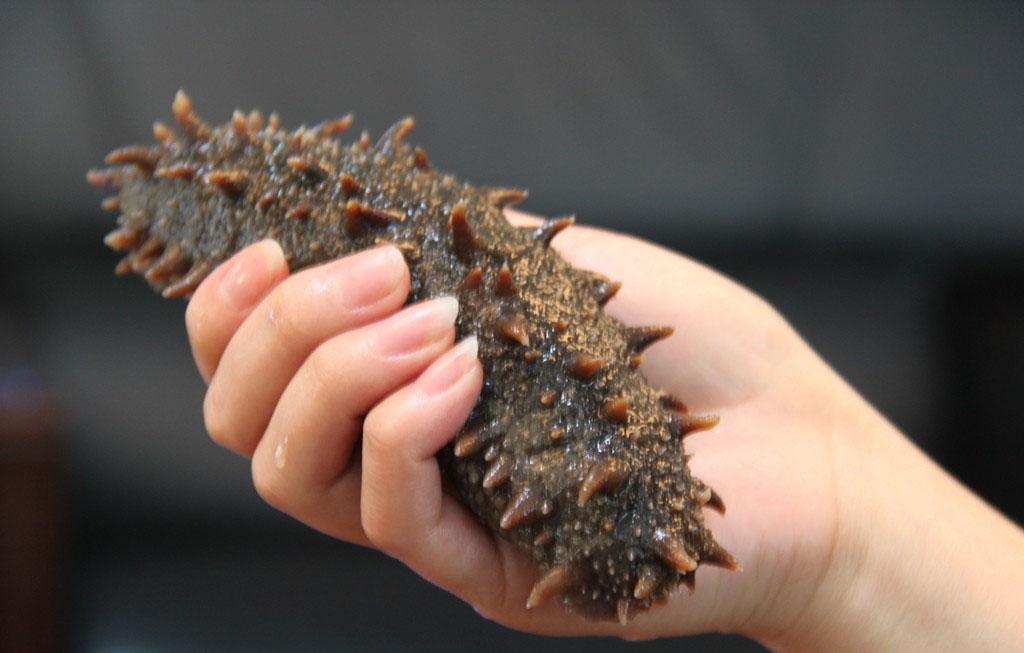 海參的保質(zhì)期有多長時間 海參的保存方法 海參的保質(zhì)期有多長時間 海參的保存方法