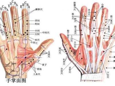 在家如何自己動手通經絡 通經絡的方法