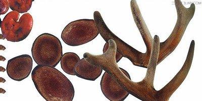 鹿茸分為哪些等級不同的等級之間的區別