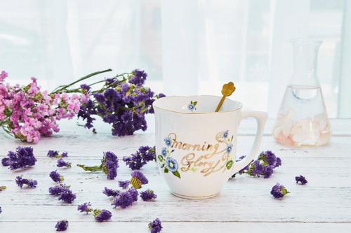 提高免疫力吃什么牌子的蛋白粉好? 提高免疫力吃什么牌子的蛋白粉好?