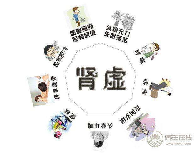 腎虛不可不知的食療方子