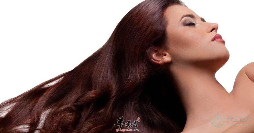 食療加日常護理   還你烏黑秀發