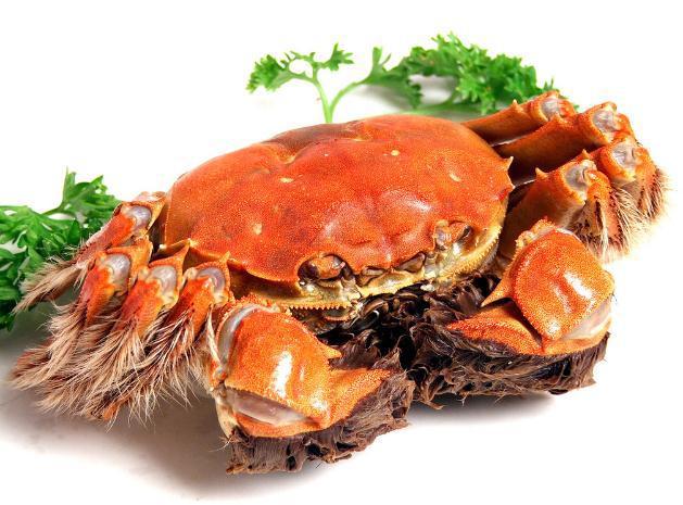 大閘蟹寒涼怎么吃可以中和掉寒涼