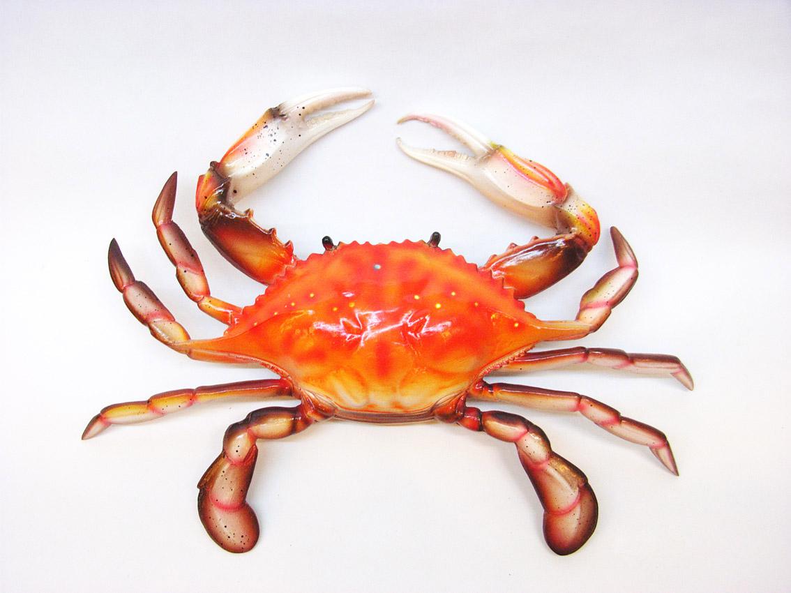 蟹子和葡萄兩種食材是否適合同時食用