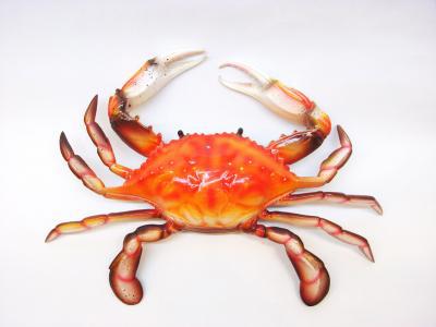 蟹子和葡萄兩種食材是否適合同時(shí)食用