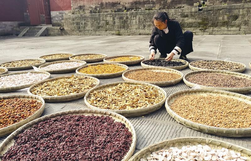 可以有效治療不同種類痛風的中草藥