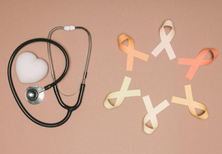 乳腺癌分為哪些種類有哪幾種等級-易網健康<a href=http://m.henggaotouzi.com/jkys/ target=_blank class=infotextkey>養生</a>網 乳腺癌分為哪些種類有哪幾種等級