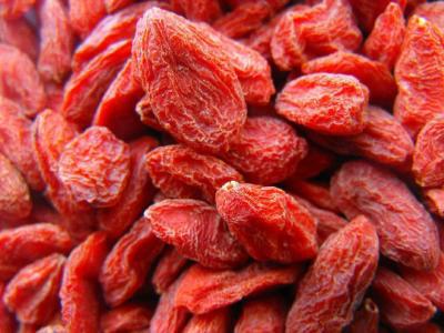 服用枸杞對(duì)于身體有哪些方面的好處