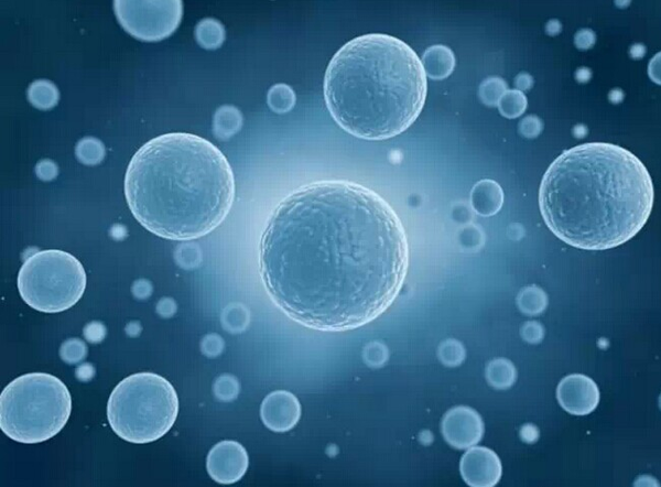 如何消耗身體中含量過多的脂肪占比