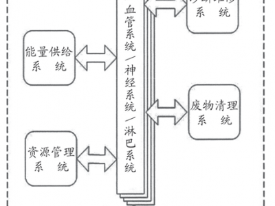 從中醫西醫的對比中 看人體的系統奧秘