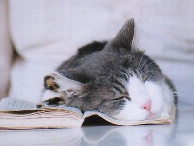 睡覺(jué)的時(shí)候出現(xiàn)壓的肩膀疼情況原因