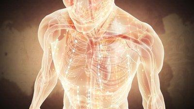 經(jīng)絡(luò)養(yǎng)生對(duì)于身體的好處以及功效