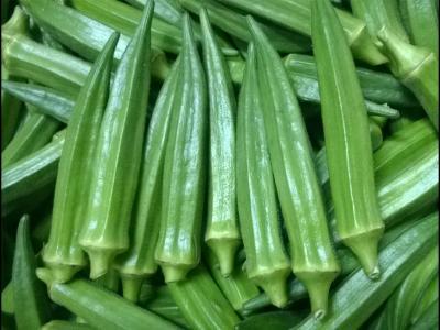 秋葵的藥用價值以及哪些人適合食用秋葵