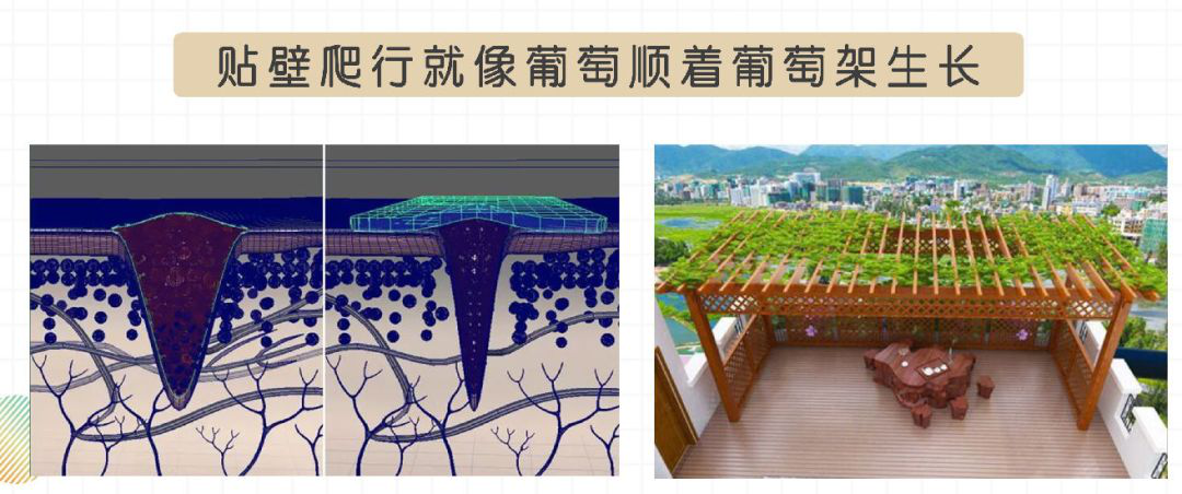 口腔潰瘍疼到崩潰?用它10秒止痛，2天就好，太神奇了！