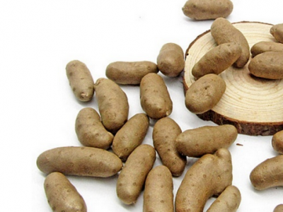 發現山藥豆發芽了之后還能不能吃了