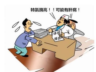 轉氨酶升高代表著什么意思要如何解決