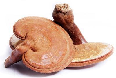 堅持吃靈芝兩年時間身體會出現(xiàn)的變化