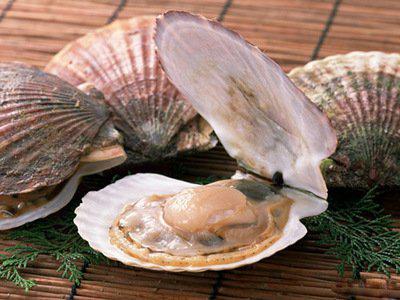 扇貝的營養價值清蒸扇貝粉絲的做法-易網健康<a href=http://m.henggaotouzi.com/jkys/ target=_blank class=infotextkey>養生</a>網 扇貝的營養價值清蒸扇貝粉絲的做法