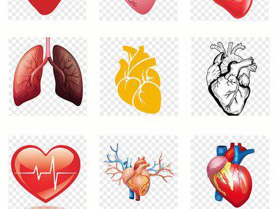 經(jīng)常在早上五點起床內(nèi)臟器官會不會受影響